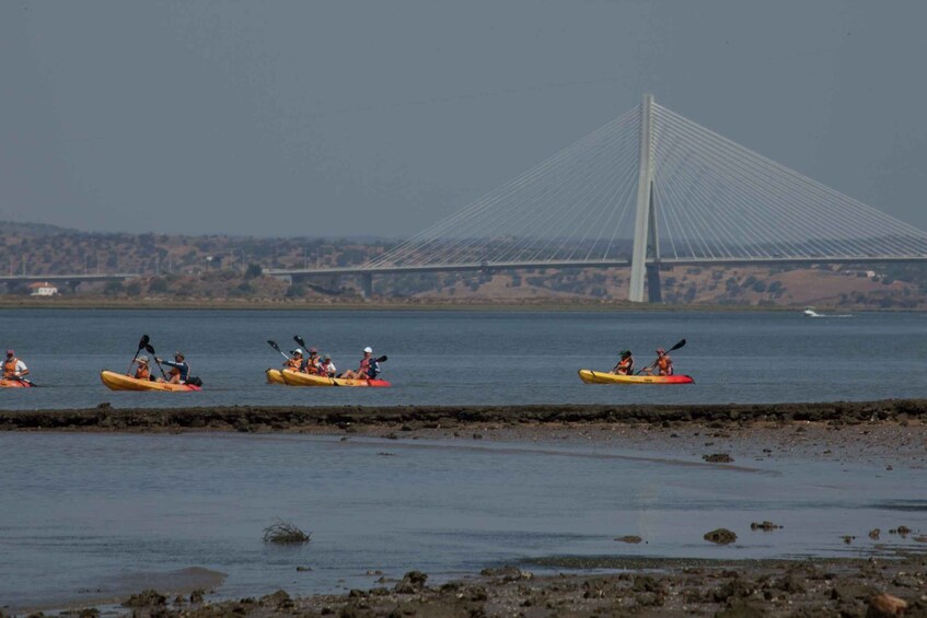 Isla Canela: Kayak Tour on the Guadiana River 1