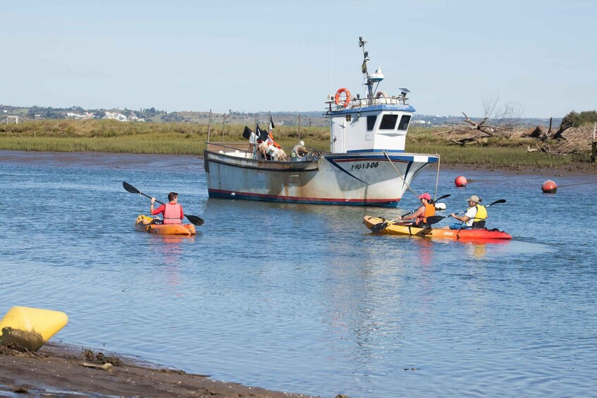 Picture 2 for Activity Isla Canela: Kayak Tour on the Guadiana River 3