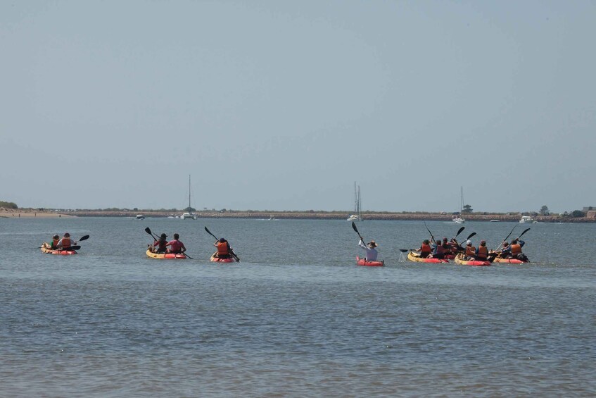 Picture 3 for Activity Isla Canela: Kayak Tour on the Guadiana River 2