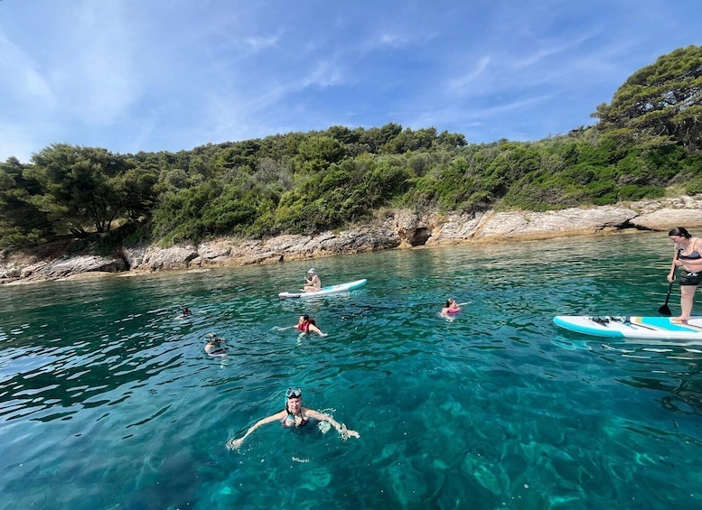 People engaging in water activities, including swimming and paddleboarding, in a clear, turquoise sea with a rocky shoreline and dense greenery in the background. 4