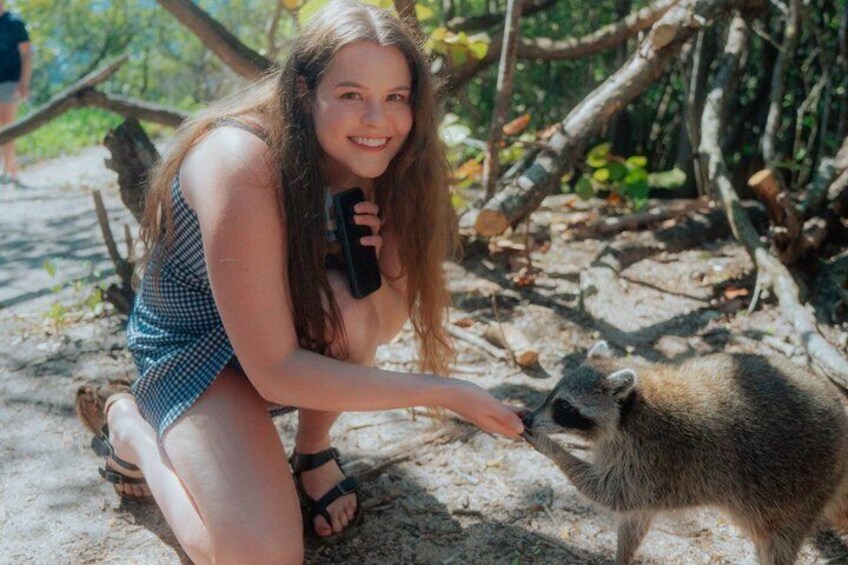 A person crouching on sandy ground, interacting with a small mammal. 5