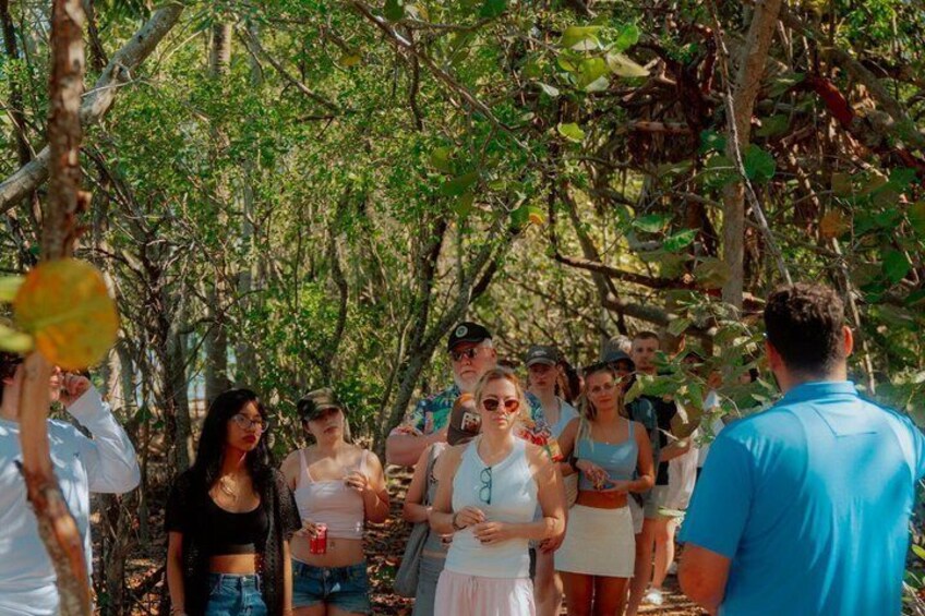 A group of people standing in a forested area with trees and foliage. 4