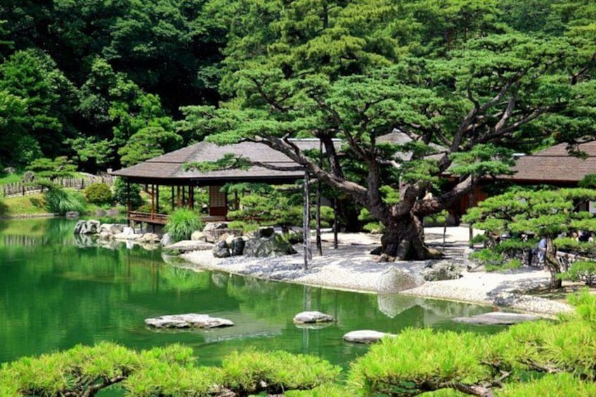 A serene Japanese garden with a pond, a large tree, and a traditional pavilion. 5