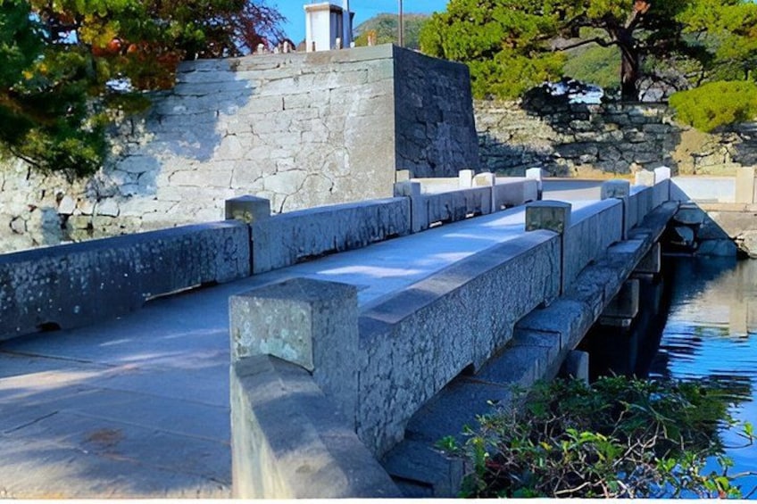 Tokushima Private Custom Tour with Local Guide 5