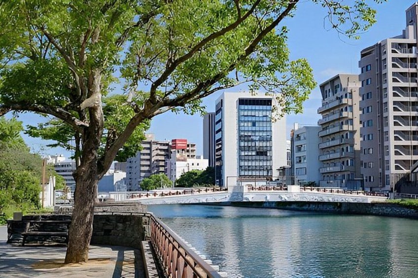 Tokushima Private Custom Tour with Local Guide 2