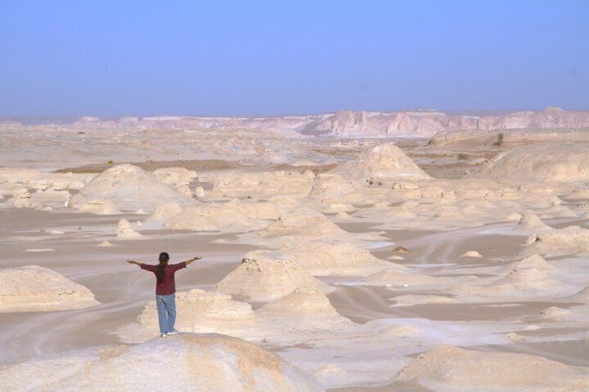 A person standing in a desert with sand dunes and a clear sky. 4