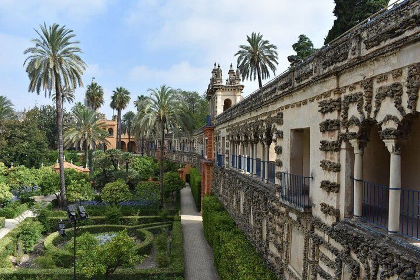 Un jardín con palmeras, un camino y un edificio con arcos. 5