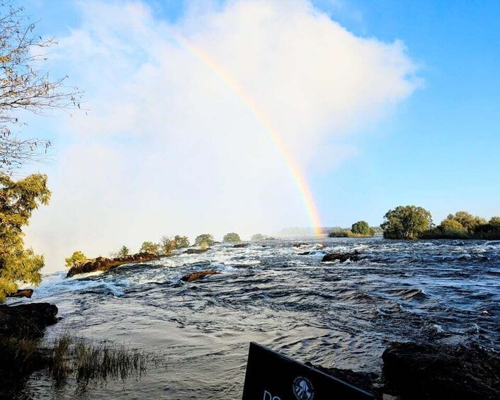 A river with a rainbow, trees, and a cloudy sky. 4