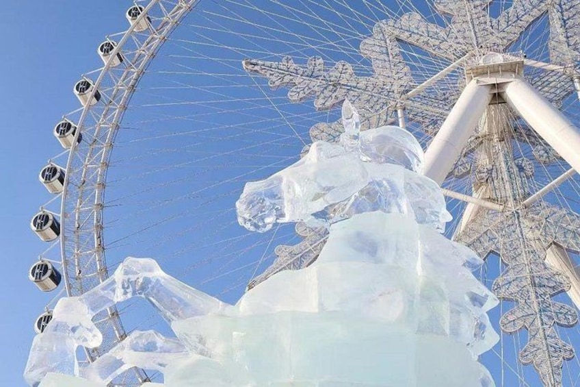 Full Day Harbin Private Tour 2