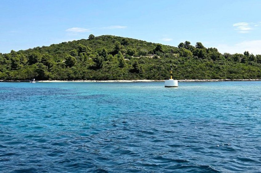 A calm sea with a buoy, a sandy beach, and a hill with dense greenery. 2