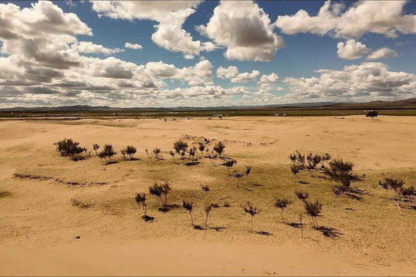 A desert landscape with sparse vegetation and a clear sky. 3