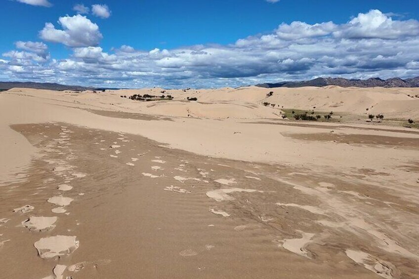 A desert landscape with sand dunes and sparse vegetation. 5