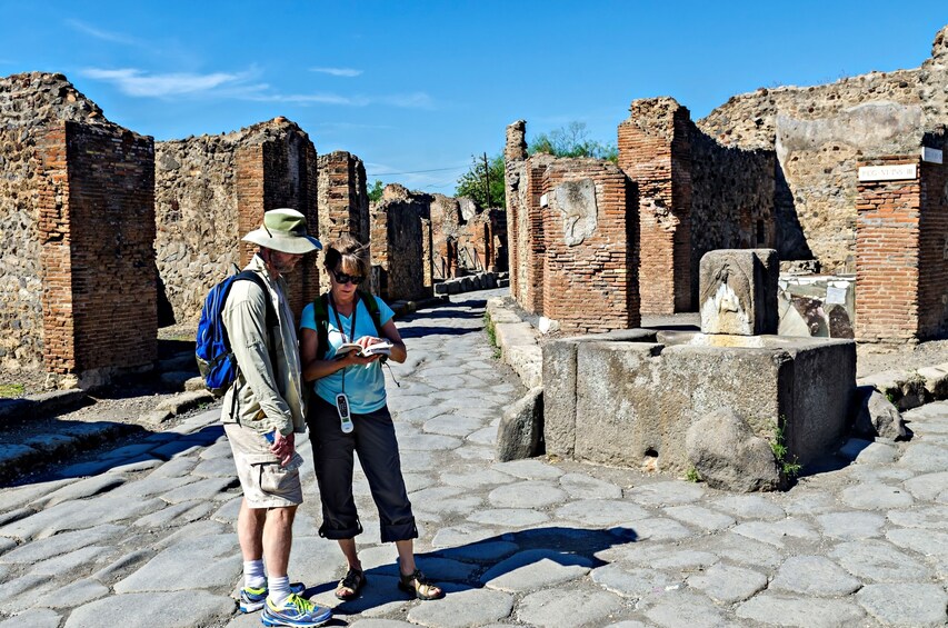 From Salerno: Pompeii and Herculaneum Tour - Shore Excursion 2
