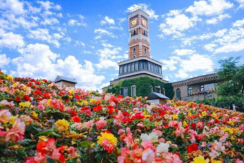 Hokkaido Shrine and Otaru Highlights Day Trip from Sapporo 2