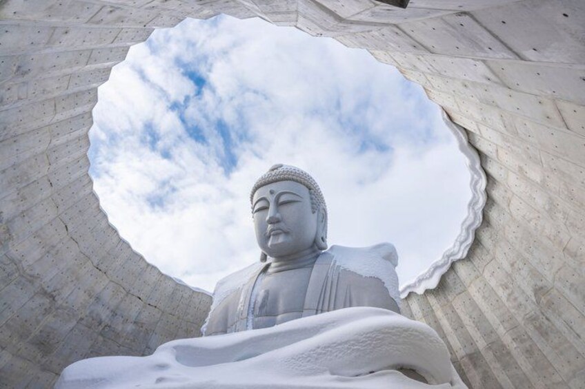 Hokkaido Shrine and Otaru Highlights Day Trip from Sapporo 1