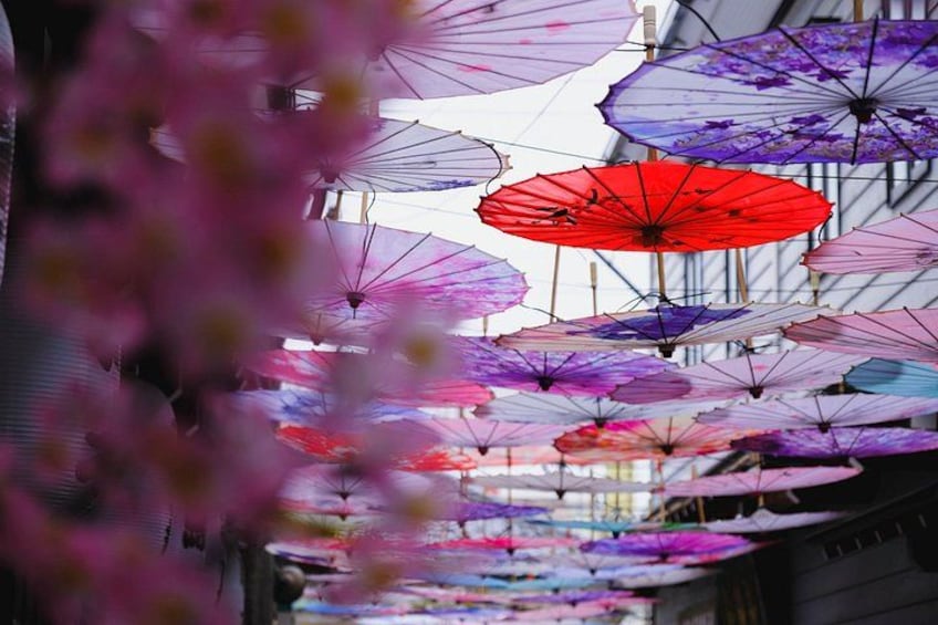Hokkaido Shrine & Otaru Highlights Day Tour from Sapporo 2
