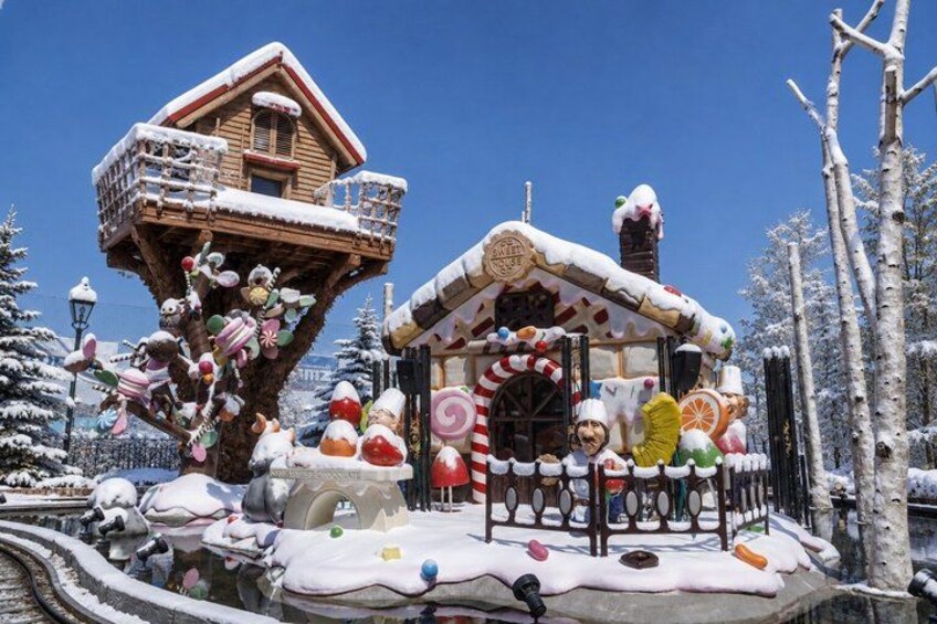 Hokkaido Shrine and Otaru Highlights Day Trip from Sapporo 3