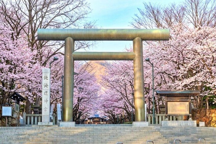 Hokkaido Shrine and Otaru Highlights Day Trip from Sapporo 3