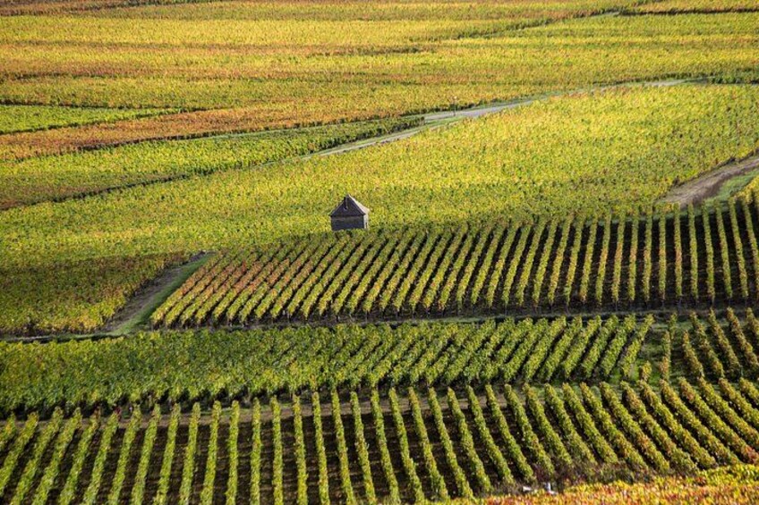 Prestigious Wine Tour in Côte de Beaune 5