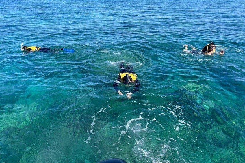 People snorkeling in clear blue water. 3
