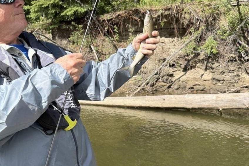 Guided Fishing Adventure On The Chena River By Boat 2