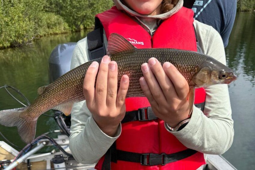 Guided Fishing Adventure On The Chena River By Boat 4