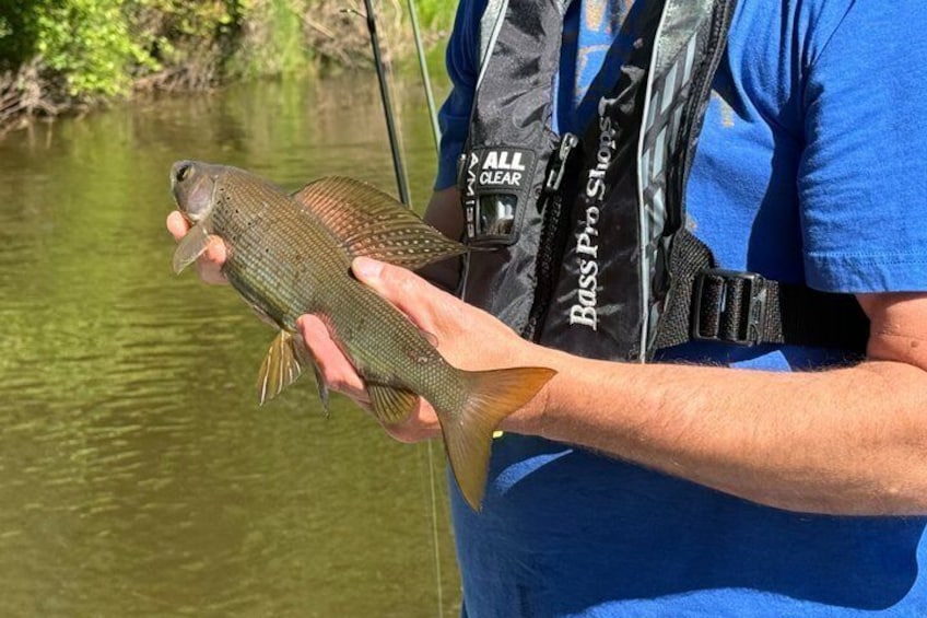 Guided Fishing Adventure On The Chena River By Boat 2