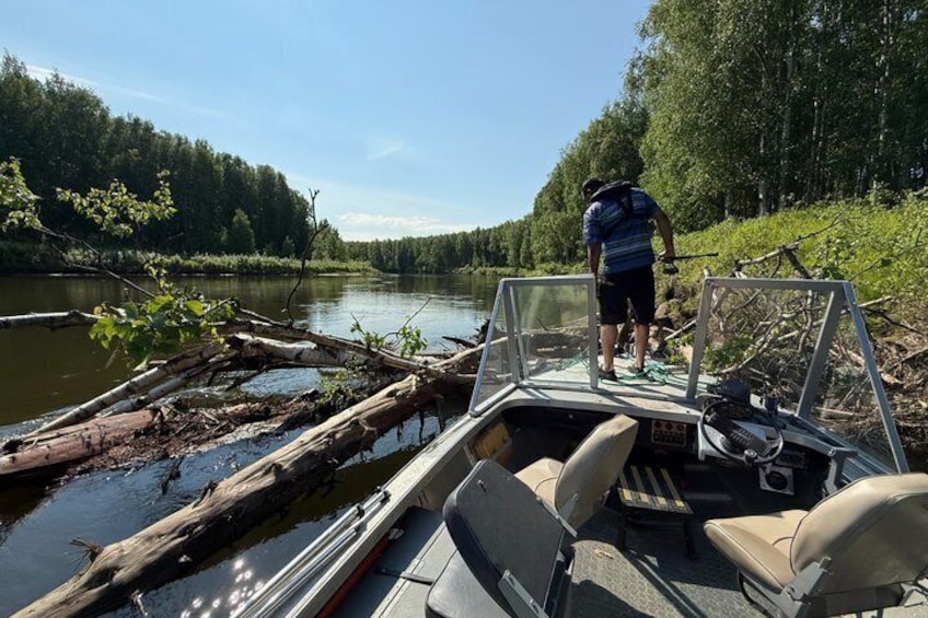 Guided Fishing Adventure On The Chena River By Boat 3