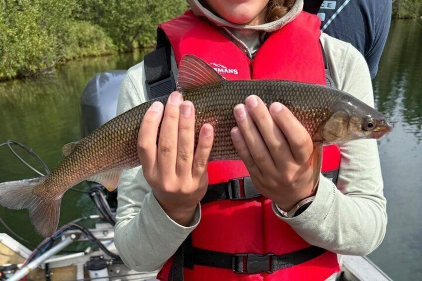 Guided Fishing Adventure On The Chena River By Boat 4