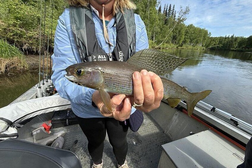 Guided Fishing Adventure On The Chena River By Boat 1