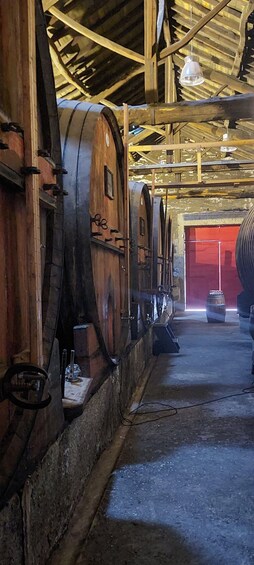 A row of wooden wine barrels in a dimly lit cellar with a red door in the background. 5