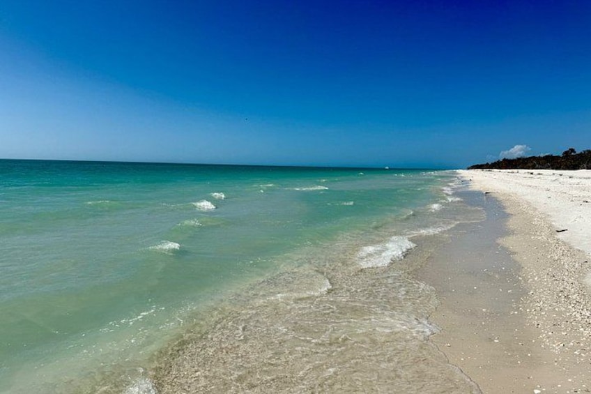 Une plage avec une eau turquoise et limpide, un rivage sablonneux et un ciel bleu dégagé. 3