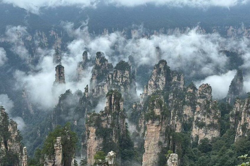 Private Day Tour Zhangjiajie National Forest ParkAvatar Mountain 3