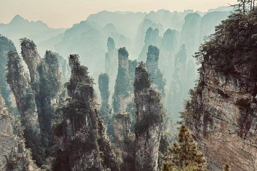 Private Day Tour Zhangjiajie National Forest ParkAvatar Mountain 1