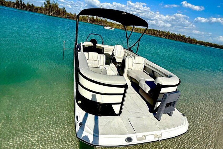 Private Luxury Keewaydin Island Beach & Dolphin Excursion 5