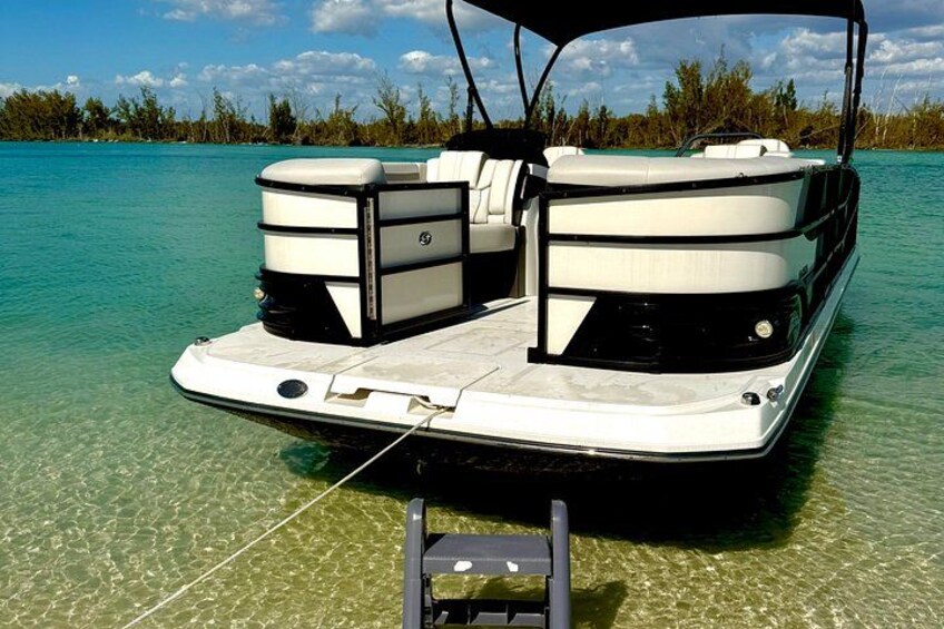 Private Luxury Keewaydin Island Beach & Dolphin Excursion 2