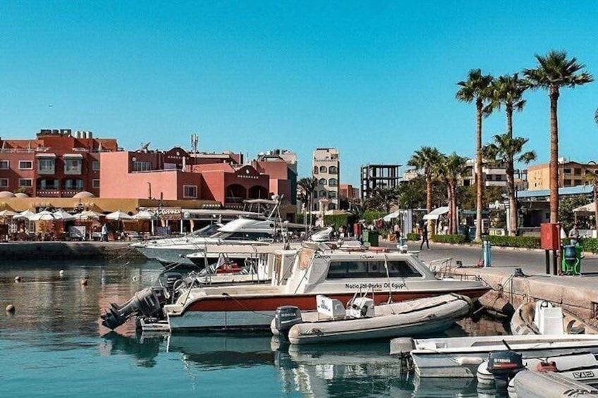 Un port de plaisance avec des bateaux amarrés, des palmiers et des bâtiments en arrière-plan. 4
