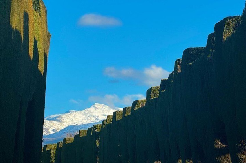 Une chaîne de montagnes aux sommets enneigés, sous un ciel bleu dégagé. 3