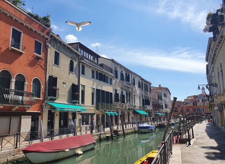 A canal with boats, historic buildings, and a seagull flying overhead. 4