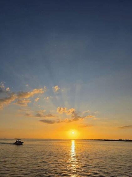 Picture 5 for Activity Marathon, Florida Keys: Sunset Cruise with Local Seafood 2