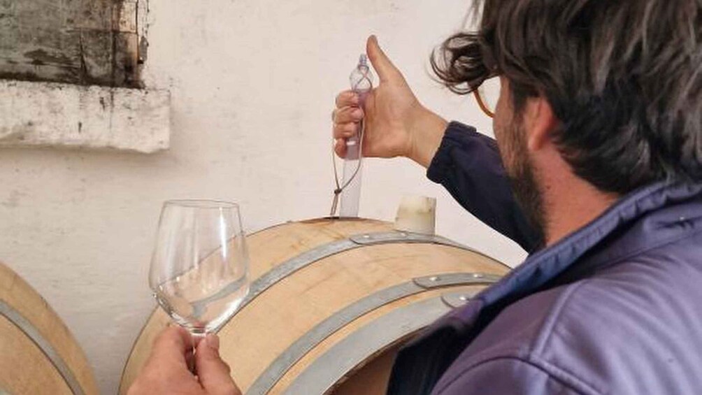 A person holding a wine glass near a wooden barrel. 2