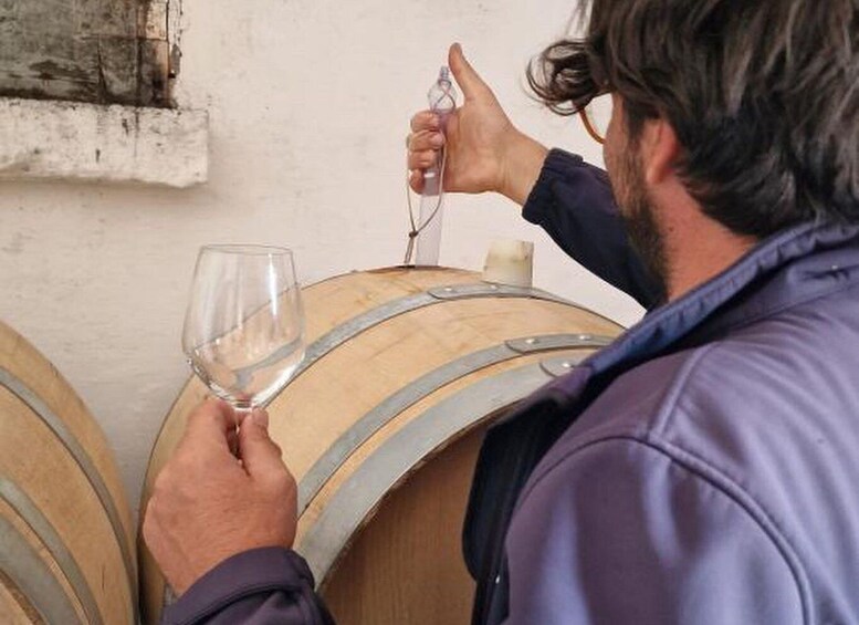 A person holding a wine glass in front of a wooden barrel. 2