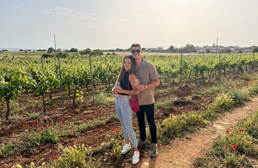 A couple standing in a vineyard with rows of grapevines and red flowers in the foreground. 3