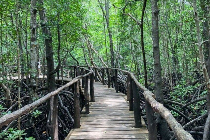 Jozani Forest Salaam Cave and Rock Restaurant Tour in Zanzibar 2