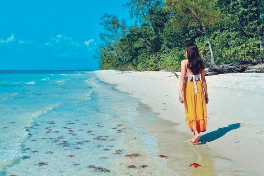 Una persona caminando sobre una playa con agua cristalina y vegetación al fondo. 4