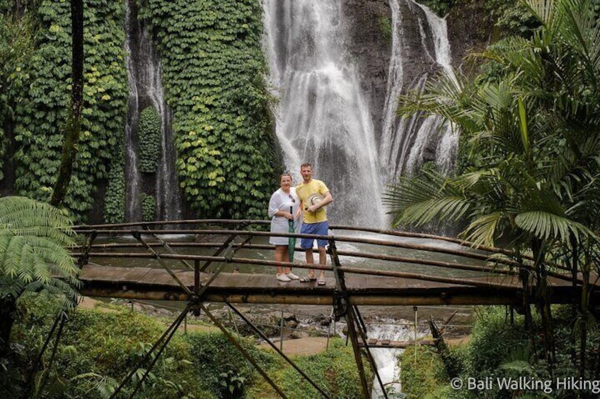 A bridge over a waterfall with lush greenery and a person standing on it. 1