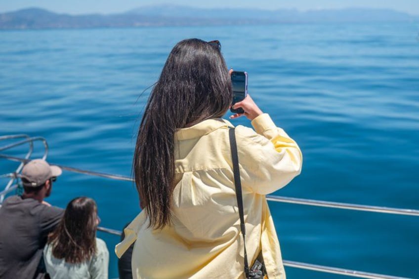 Benalmadena Catamaran : Dolphins, Tapas and Sea Baths 2hrs. 30min. 4