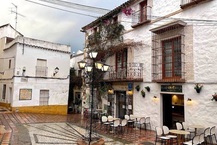 Private tour. Painting and Walking and Taping in Marbella Old Town 3