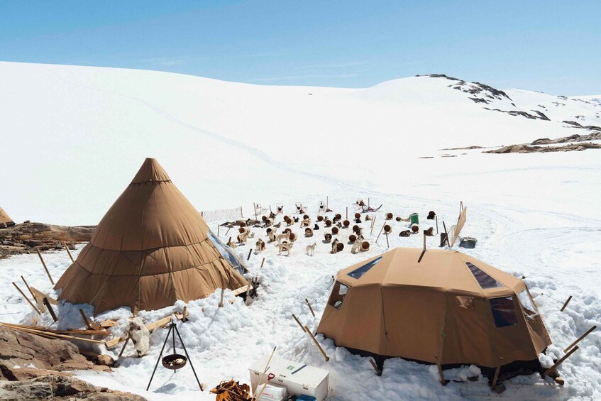 A snowy landscape with two tents and a group of dogs. 1
