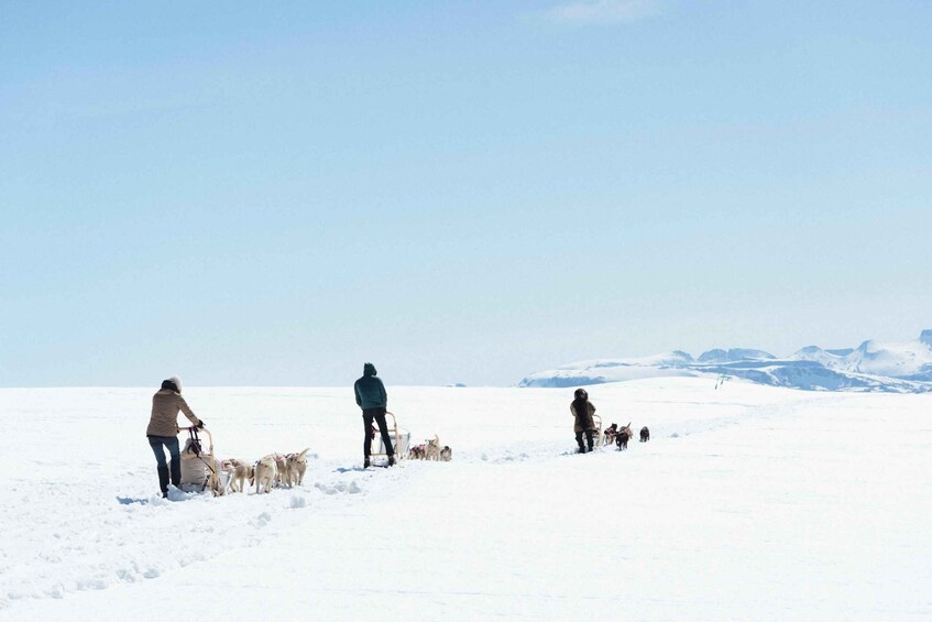 A group of people on a snowy landscape with sleds and dogs, and mountains in the background. 3